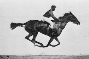 Eadweard Muybridge’s historic moving photograph of a black man on a horse